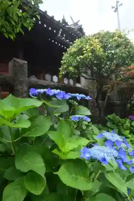 白山神社(東京都)