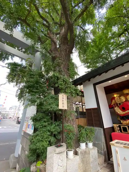 波除神社(波除稲荷神社)(東京都)