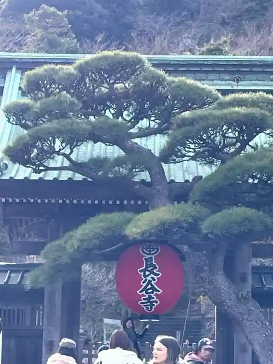長谷寺(神奈川県)