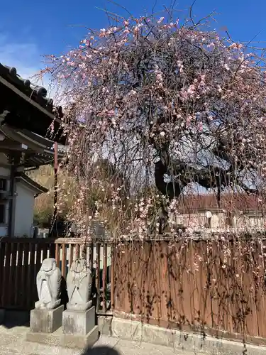金剛院(神奈川県)
