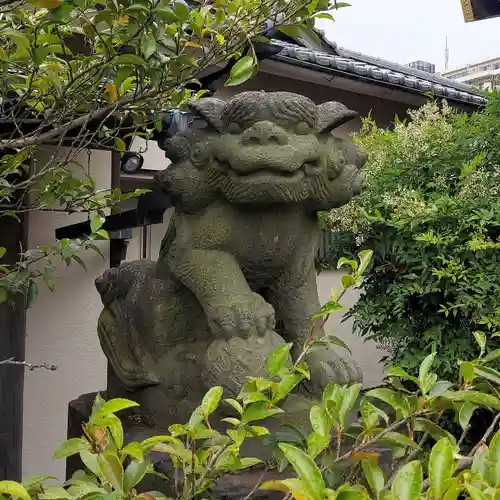 古録天神社の狛犬