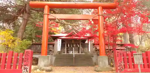 札幌伏見稲荷神社の鳥居