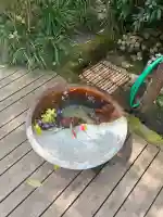 明月院の{uncategorized: "未分類", other: "その他", undefined: "問題あり", building: "その他建物", grave: "お墓", sacred_gate: "鳥居", guardian: "狛犬", statue: "像", buddha: "仏像", history: "歴史", nature: "自然", garden: "庭園", animal: "動物", pagoda: "塔", temizu: "手水舎", mountain_gate: "山門・神門", sanctuary: "本殿・本堂", subordinate: "末社・摂社", art: "芸術", scenery: "景色", jizo: "地蔵", ema: "絵馬", goshuin: "御朱印", omikuji: "おみくじ", items: "授与品その他", amulet: "お守り", goshuincho: "御朱印帳", eats: "食事", festival: "お祭り", votive_dance: "神楽", shichigosan: "七五三参", wedding: "結婚式", experience: "体験その他", initially: "初詣", around: "周辺", anti_infection: "感染症対策"}