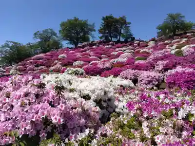 誠照寺(福井県)