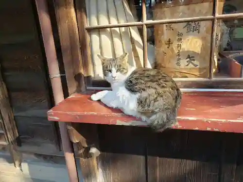 雀神社の動物