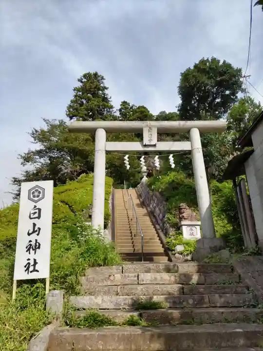 白山神社(東京都)