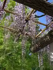 日吉神社の庭園