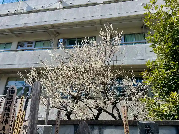 龍閑寺の{uncategorized: "未分類", other: "その他", undefined: "問題あり", building: "その他建物", grave: "お墓", sacred_gate: "鳥居", guardian: "狛犬", statue: "像", buddha: "仏像", history: "歴史", nature: "自然", garden: "庭園", animal: "動物", pagoda: "塔", temizu: "手水舎", mountain_gate: "山門・神門", sanctuary: "本殿・本堂", subordinate: "末社・摂社", art: "芸術", scenery: "景色", jizo: "地蔵", ema: "絵馬", goshuin: "御朱印", omikuji: "おみくじ", items: "授与品その他", amulet: "お守り", goshuincho: "御朱印帳", eats: "食事", festival: "お祭り", votive_dance: "神楽", shichigosan: "七五三参", wedding: "結婚式", experience: "体験その他", initially: "初詣", around: "周辺", anti_infection: "感染症対策"}