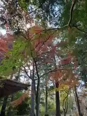 神場山神社の自然