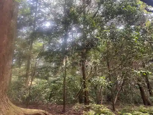 鹿島神宮(茨城県)
