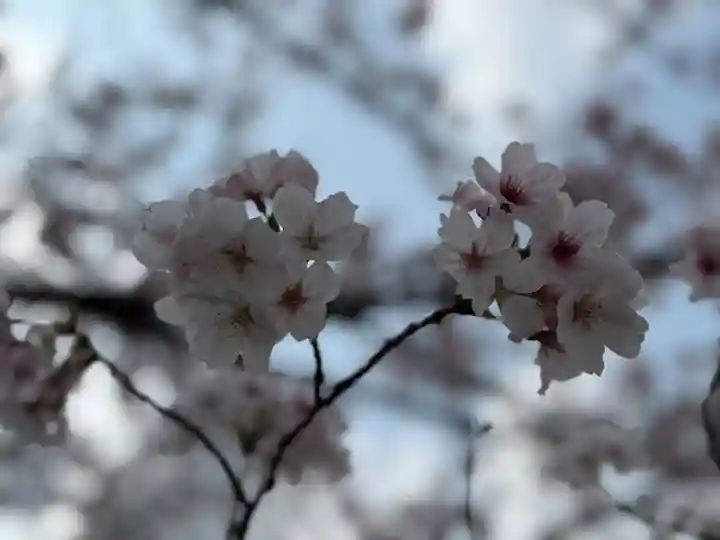 西方山極楽寺(岐阜県)