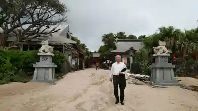 青島神社(青島神宮)の狛犬