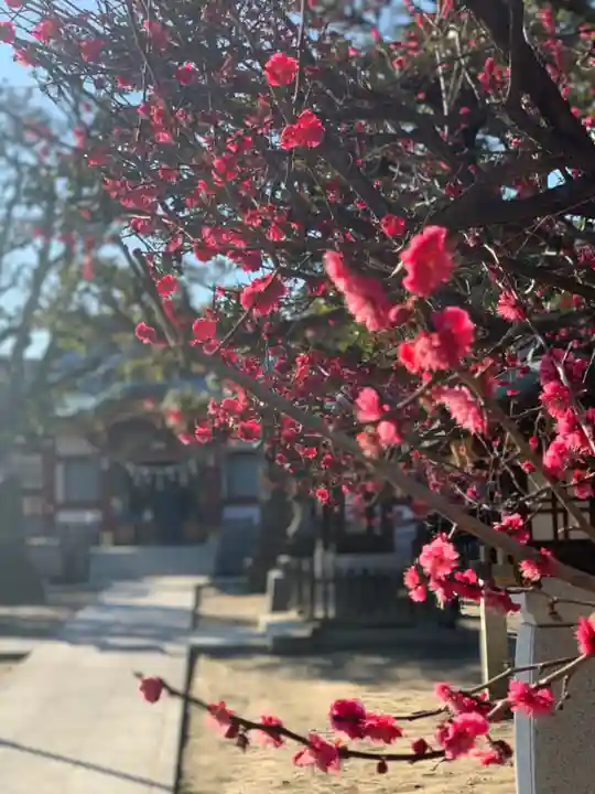 薭田神社の自然