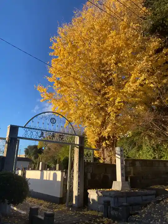 時宗総本山 遊行寺(正式:清浄光寺)(神奈川県)