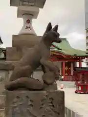 東京羽田 穴守稲荷神社の狛犬