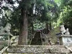 鬼神野神社の狛犬