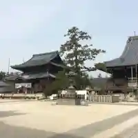 本山専修寺の{uncategorized: "未分類", other: "その他", undefined: "問題あり", building: "その他建物", grave: "お墓", sacred_gate: "鳥居", guardian: "狛犬", statue: "像", buddha: "仏像", history: "歴史", nature: "自然", garden: "庭園", animal: "動物", pagoda: "塔", temizu: "手水舎", mountain_gate: "山門・神門", sanctuary: "本殿・本堂", subordinate: "末社・摂社", art: "芸術", scenery: "景色", jizo: "地蔵", ema: "絵馬", goshuin: "御朱印", omikuji: "おみくじ", items: "授与品その他", amulet: "お守り", goshuincho: "御朱印帳", eats: "食事", festival: "お祭り", votive_dance: "神楽", shichigosan: "七五三参", wedding: "結婚式", experience: "体験その他", initially: "初詣", around: "周辺", anti_infection: "感染症対策"}