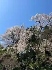 浅川神社(東京都)