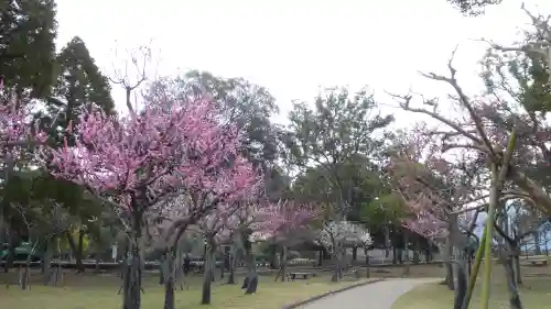 春日大社の庭園