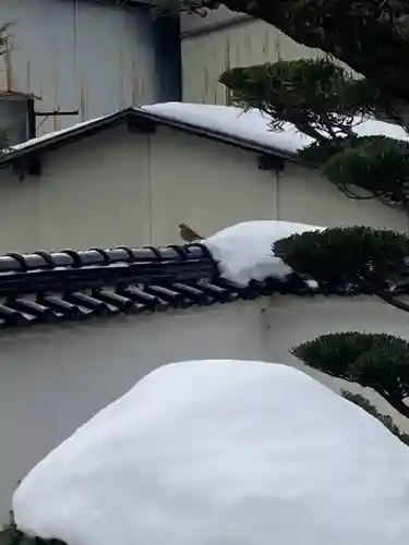 青蓮寺のその他建物