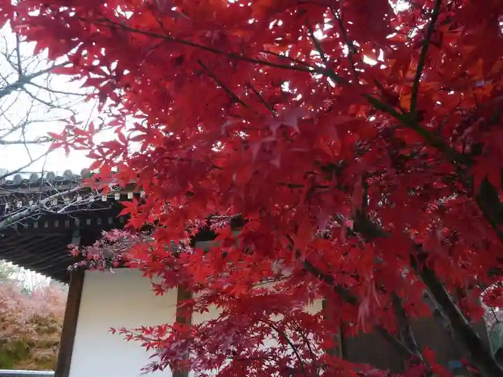 東漸寺のその他建物