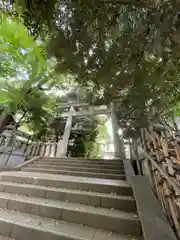 渋谷氷川神社の鳥居