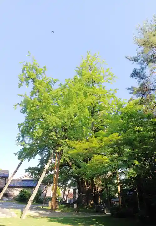 上日寺のその他建物