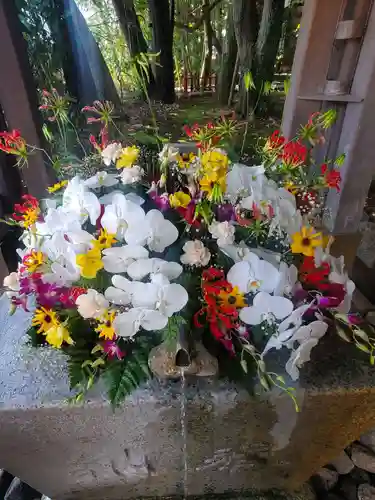 富知六所浅間神社の手水