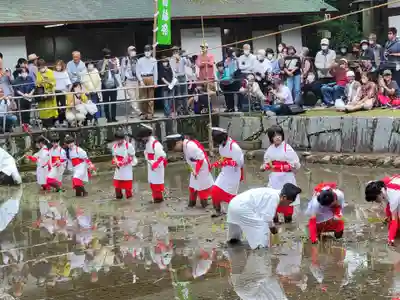 大山祇神社(愛媛県)