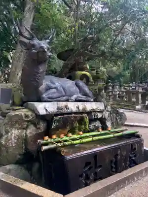 春日大社の手水舎