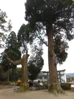 興玉神社(宮崎県)