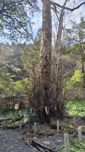 貴船神社結社(京都府)