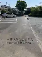 仙台八坂神社(宮城県)