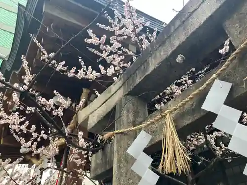 鵲森宮の鳥居