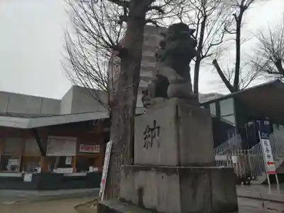 亀有香取神社の狛犬