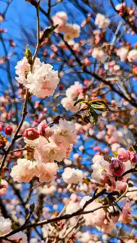 麻賀多神社の自然
