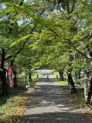 居多神社(新潟県)