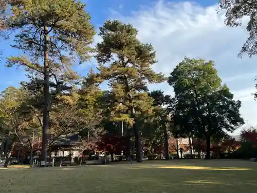 武田神社の庭園