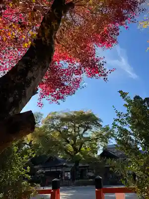 賀茂別雷神社（上賀茂神社）(京都府)