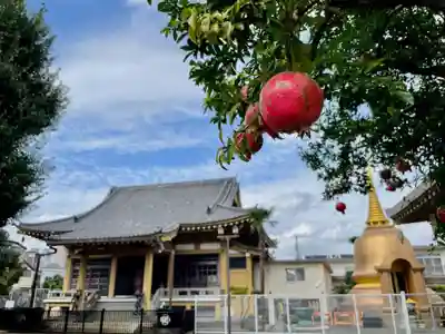 福王山 慈眼寺の本殿・本堂