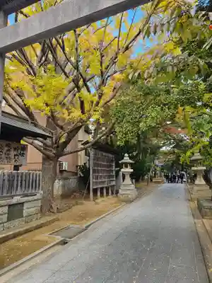 意富比神社(千葉県)