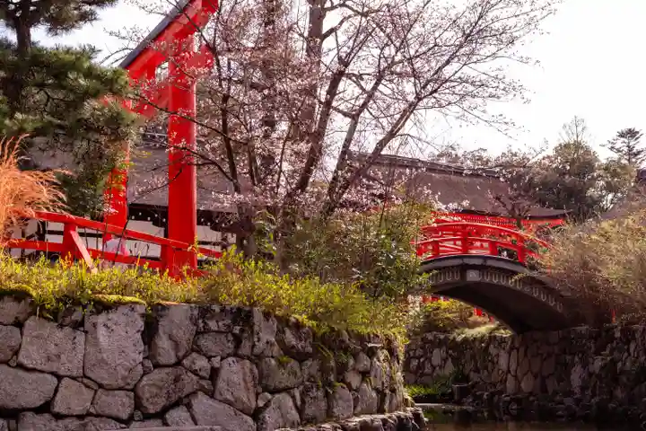 賀茂御祖神社(下鴨神社)の景色