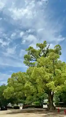 石清水八幡宮(京都府)