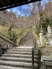 長谷寺の景色