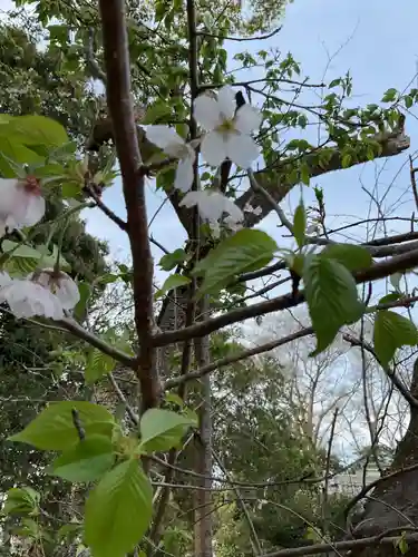 高田波蘇伎神社の庭園