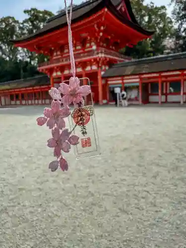 賀茂御祖神社（下鴨神社）(京都府)