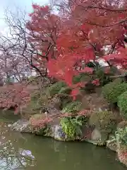 清水寺の自然