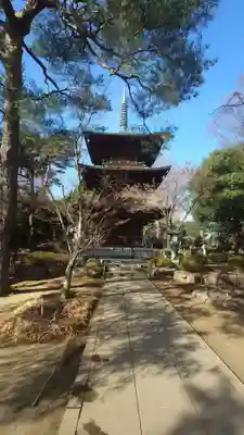 豪徳寺(東京都)