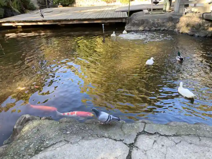 平塚八幡宮(神奈川県)