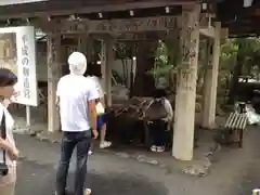 猿田彦神社の手水